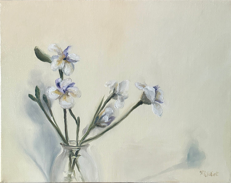 African Irises
